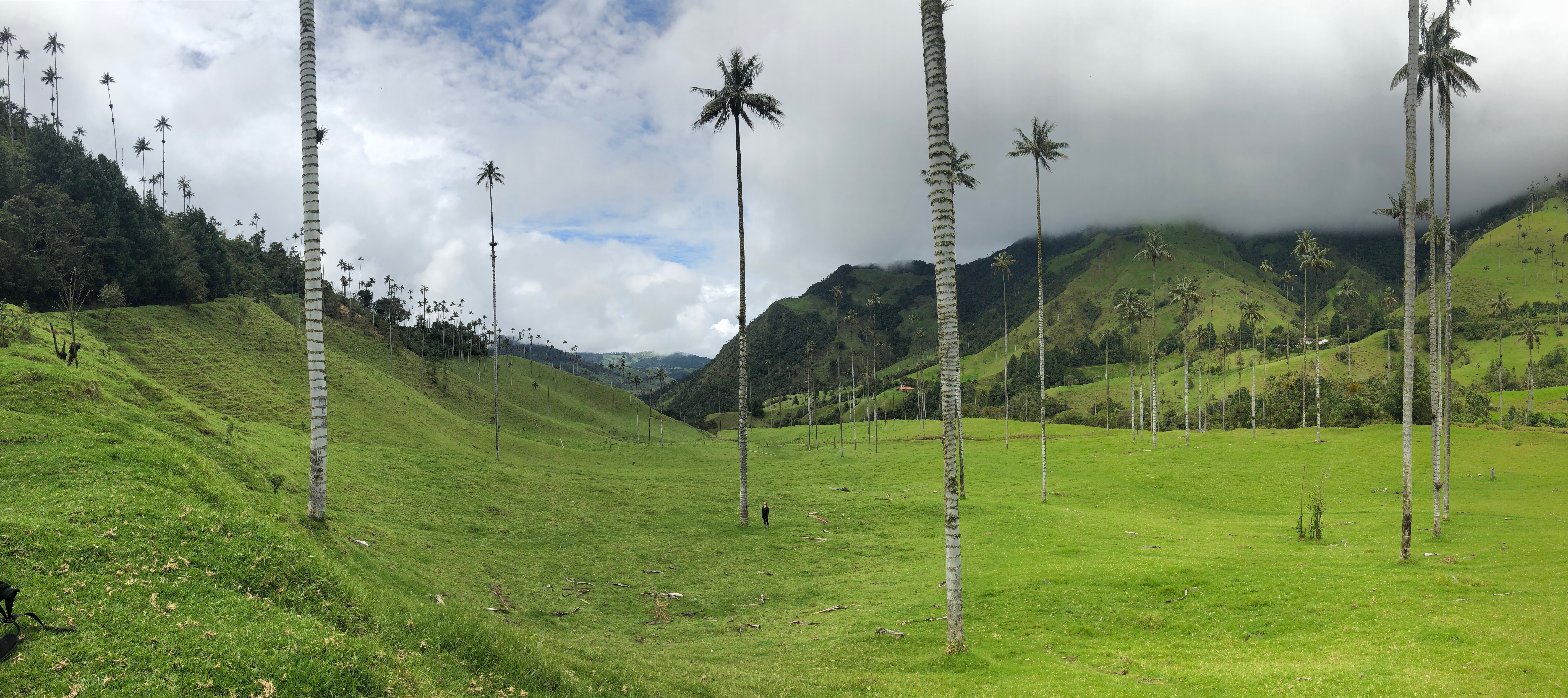 HIKING THE COCORA VALLEY LOOP