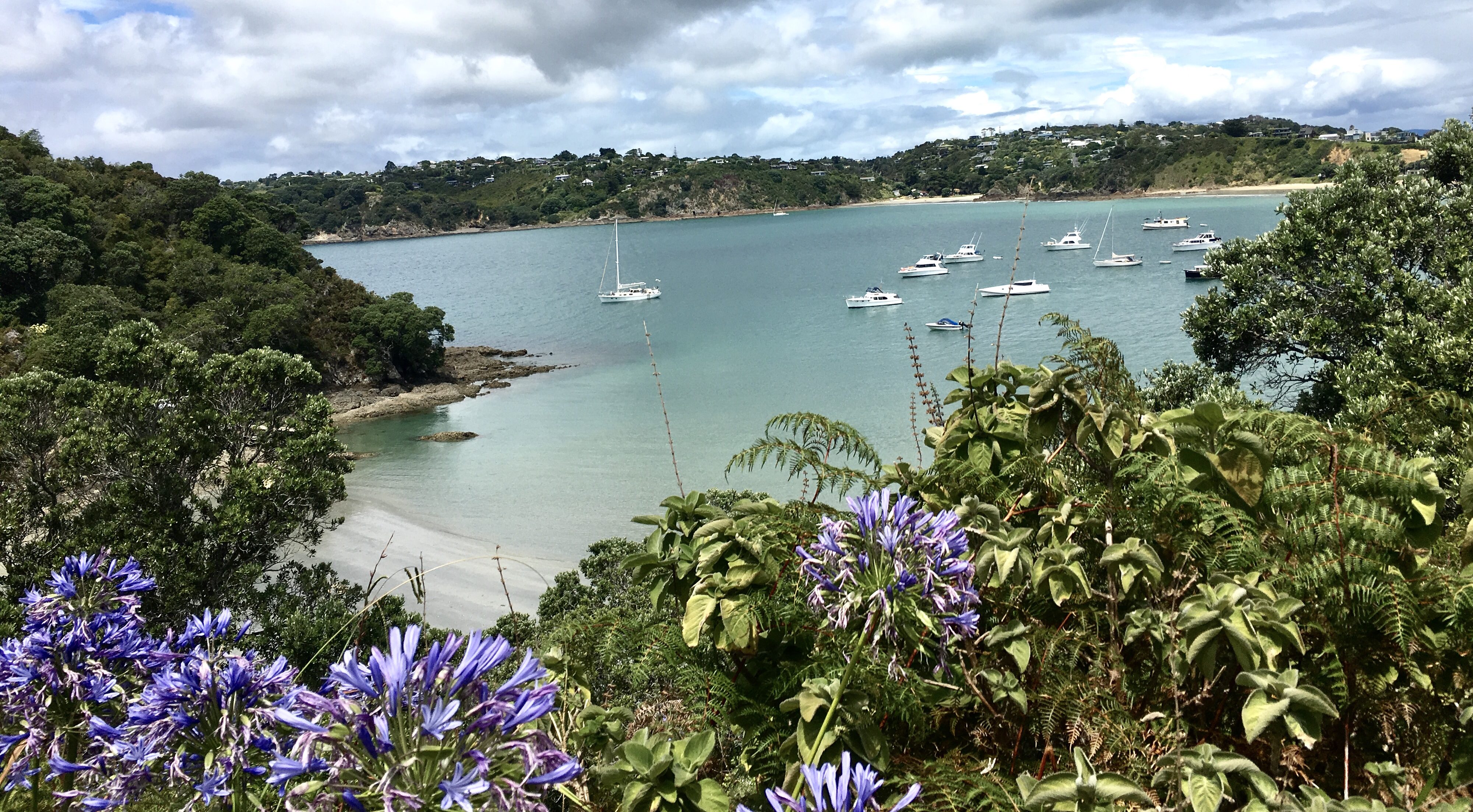 A WEEKEND ON WAIHEKE ISLAND