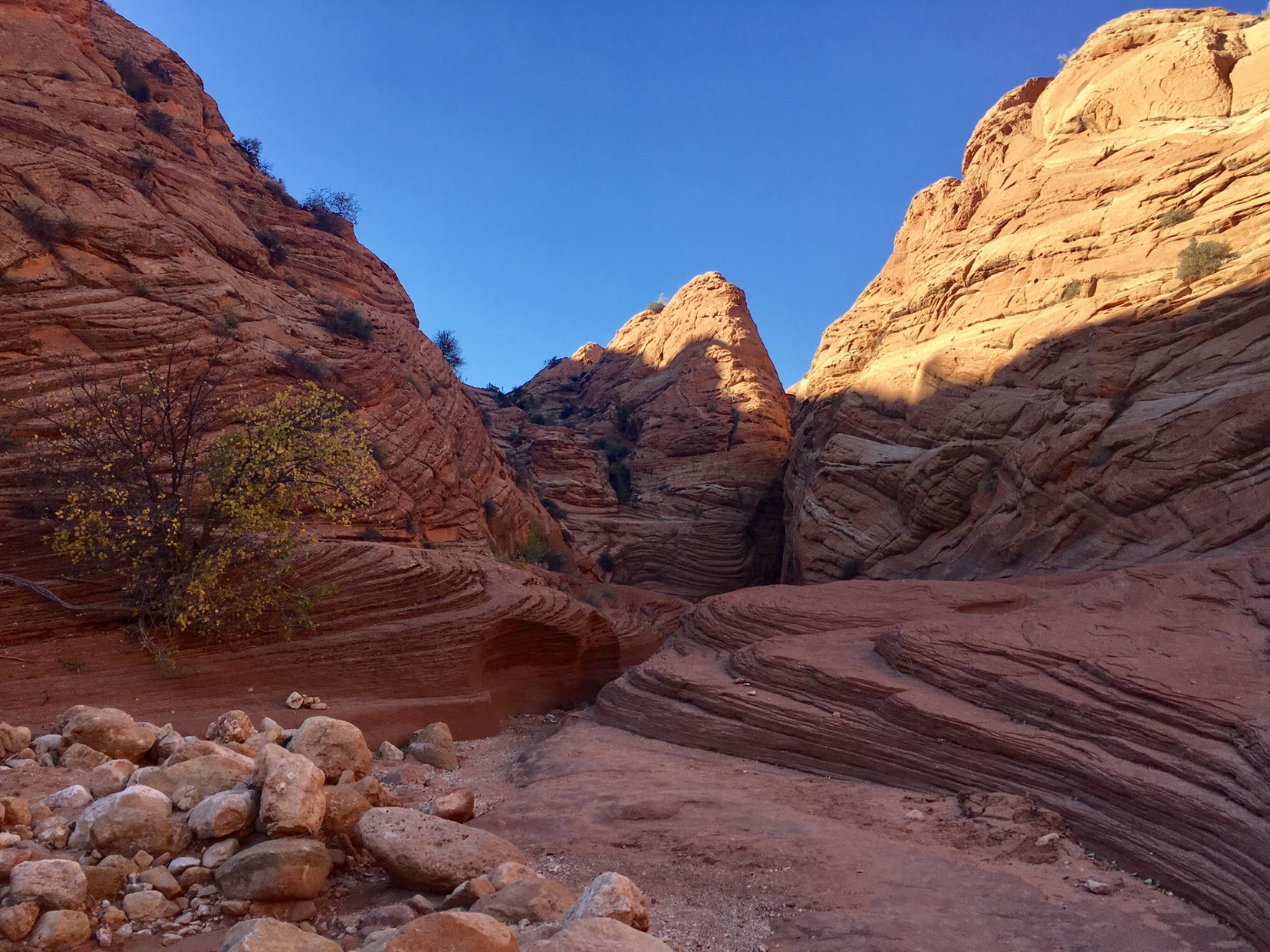 Wire Pass: A Beautiful Hike Through a Slot Canyon