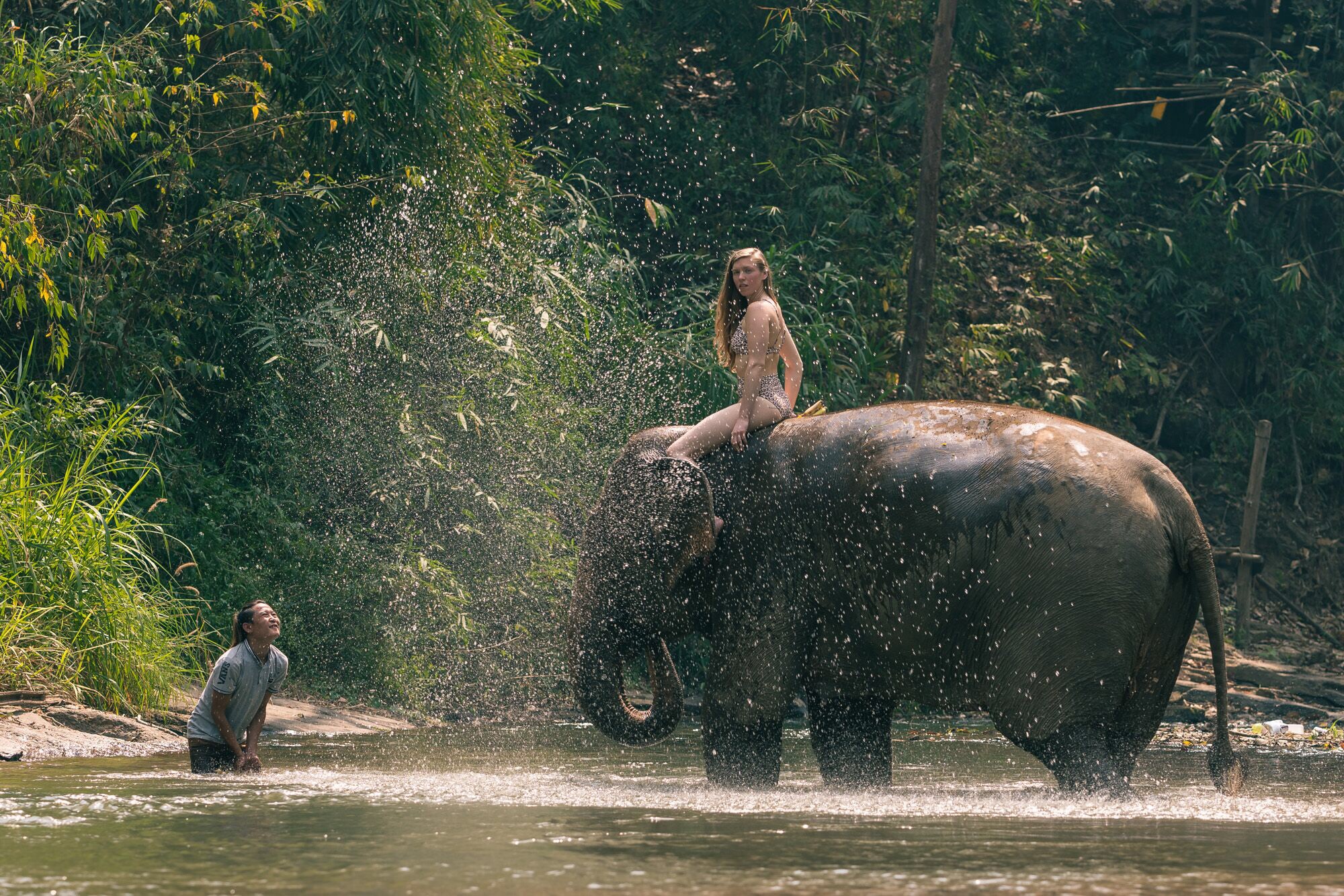IS IT EVER OK TO RIDE AN ELEPHANT?