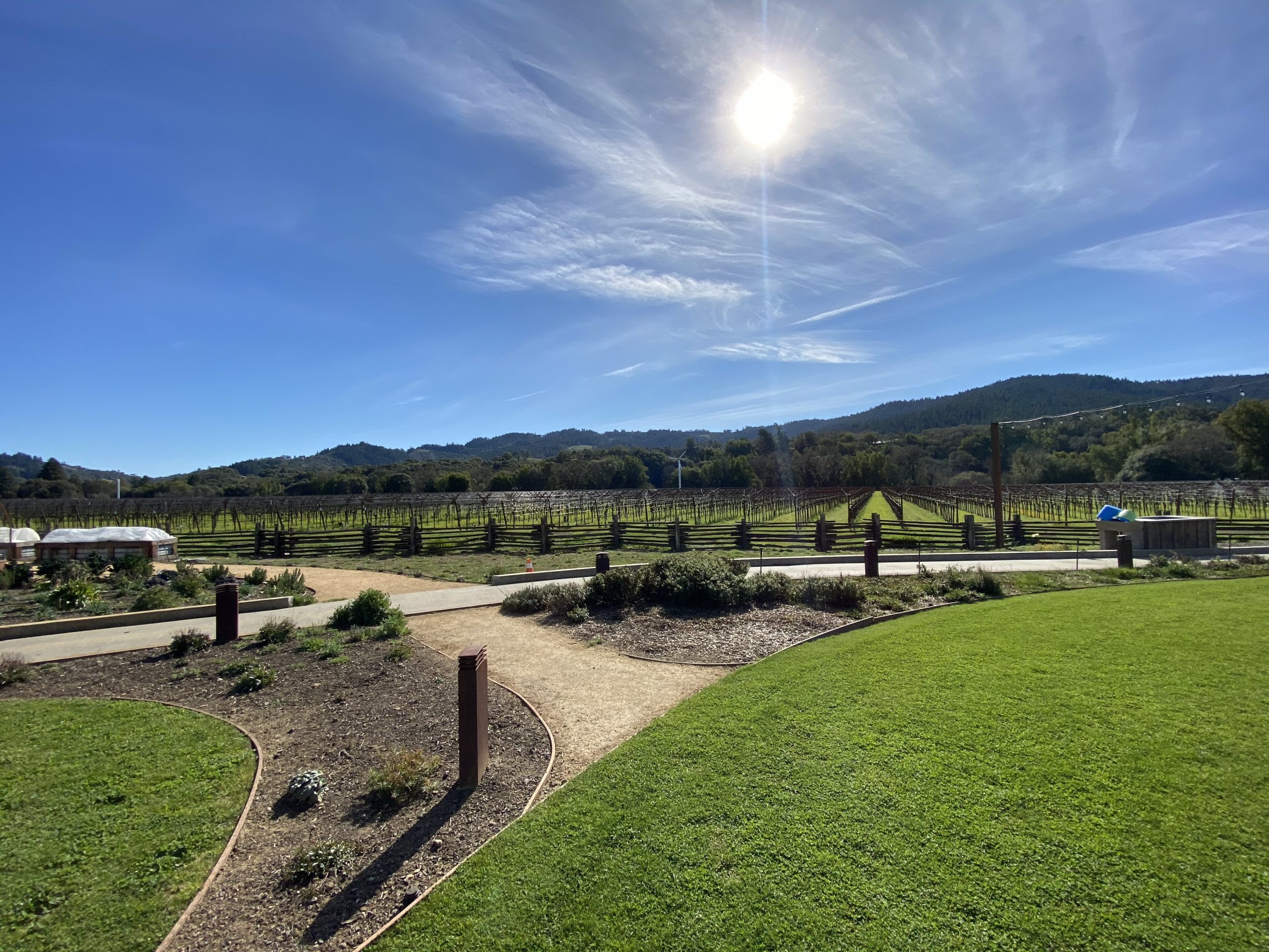My Five Favorite Wineries In Anderson Valley, California