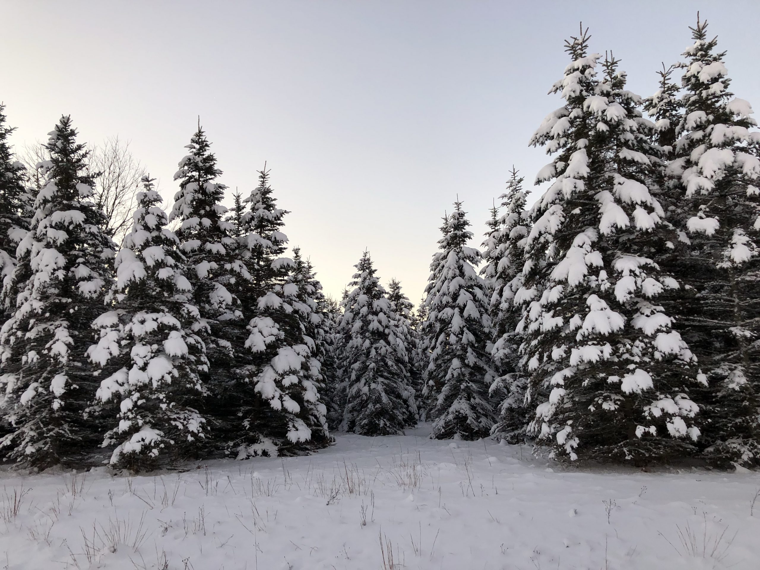 FIVE WINTER ACTIVITIES NEAR TRAVERSE CITY